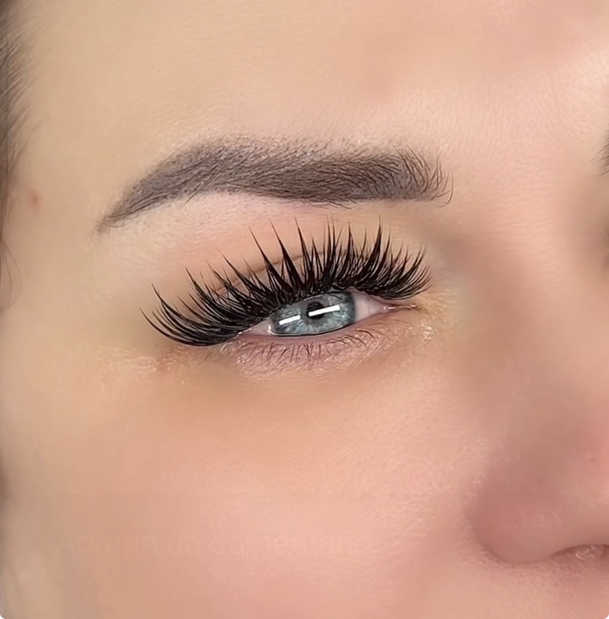 Lashes